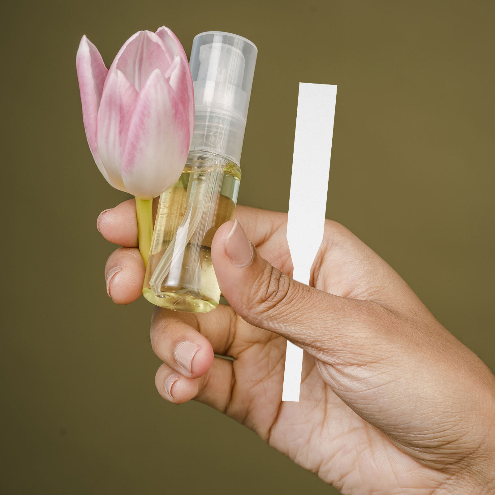 Shop Home Fragrance - 100 Buah Strip Tes Parfum Strip