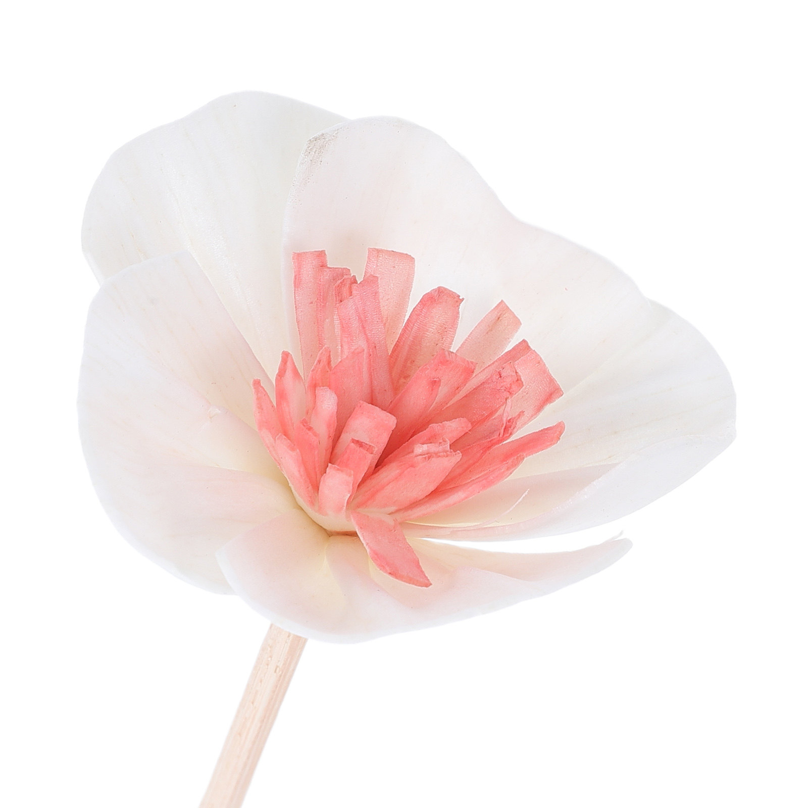 10 Buah Stik Diffuser Minyak E - Home Fragrance Oils ulasan dan harga